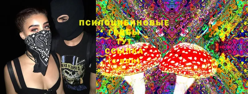 как найти закладки  Тайга  Галлюциногенные грибы Magic Shrooms 